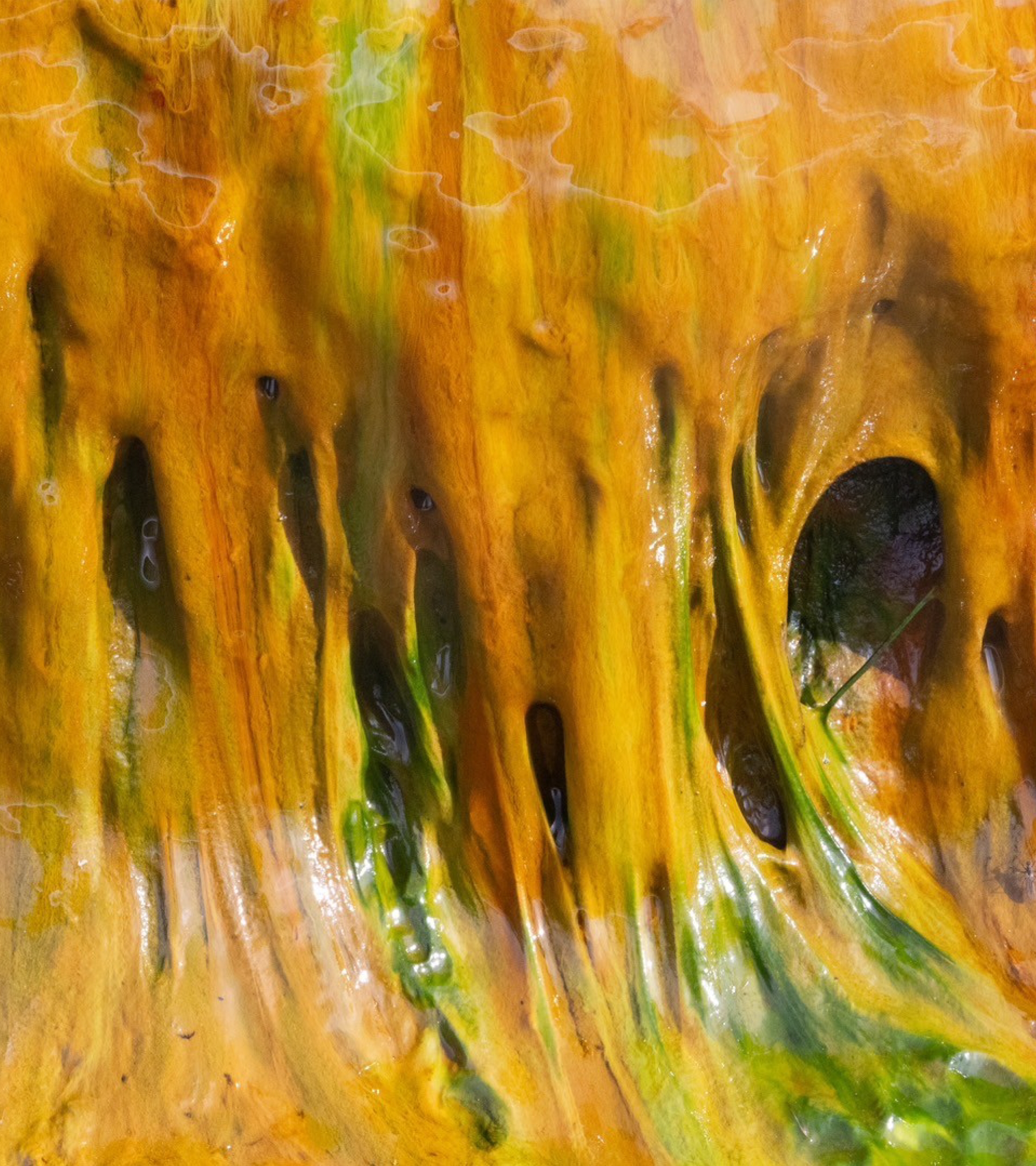 火山心中 / Yoshiaki Sera