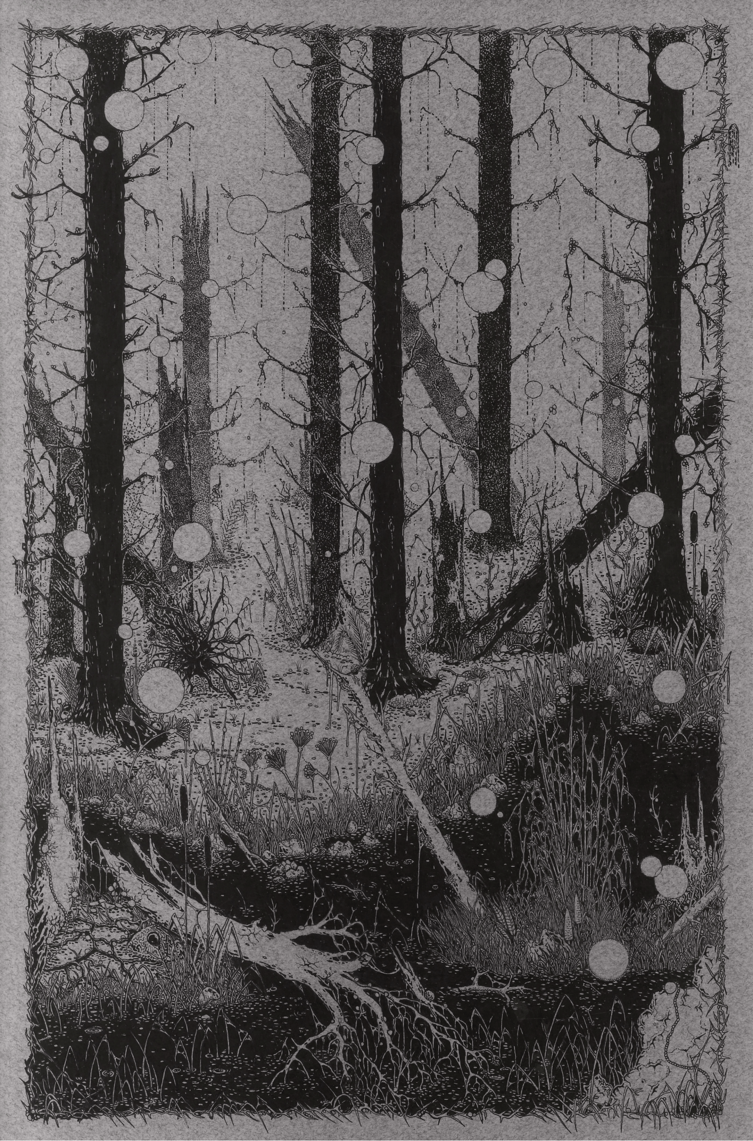 A PATH THROUGH THE LOOP / Jack Tezam