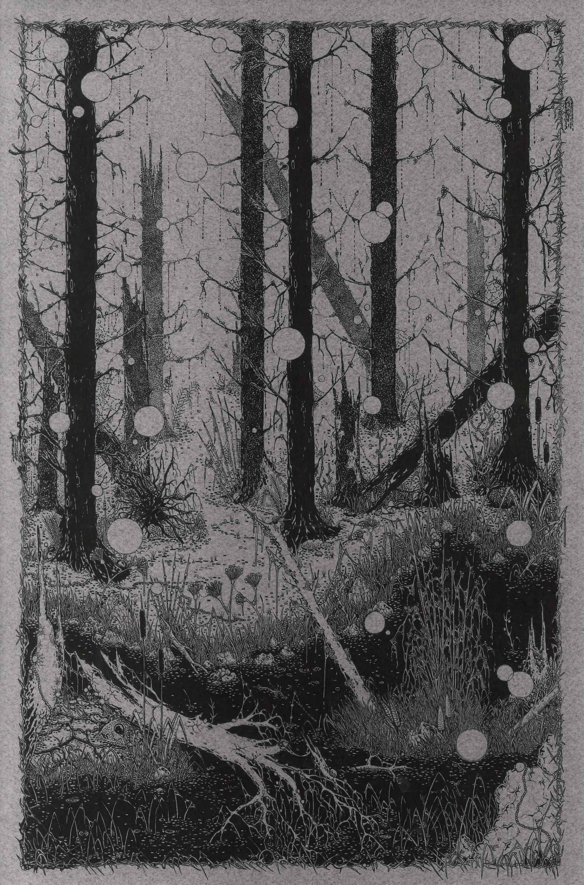 A PATH THROUGH THE LOOP / Jack Tezam